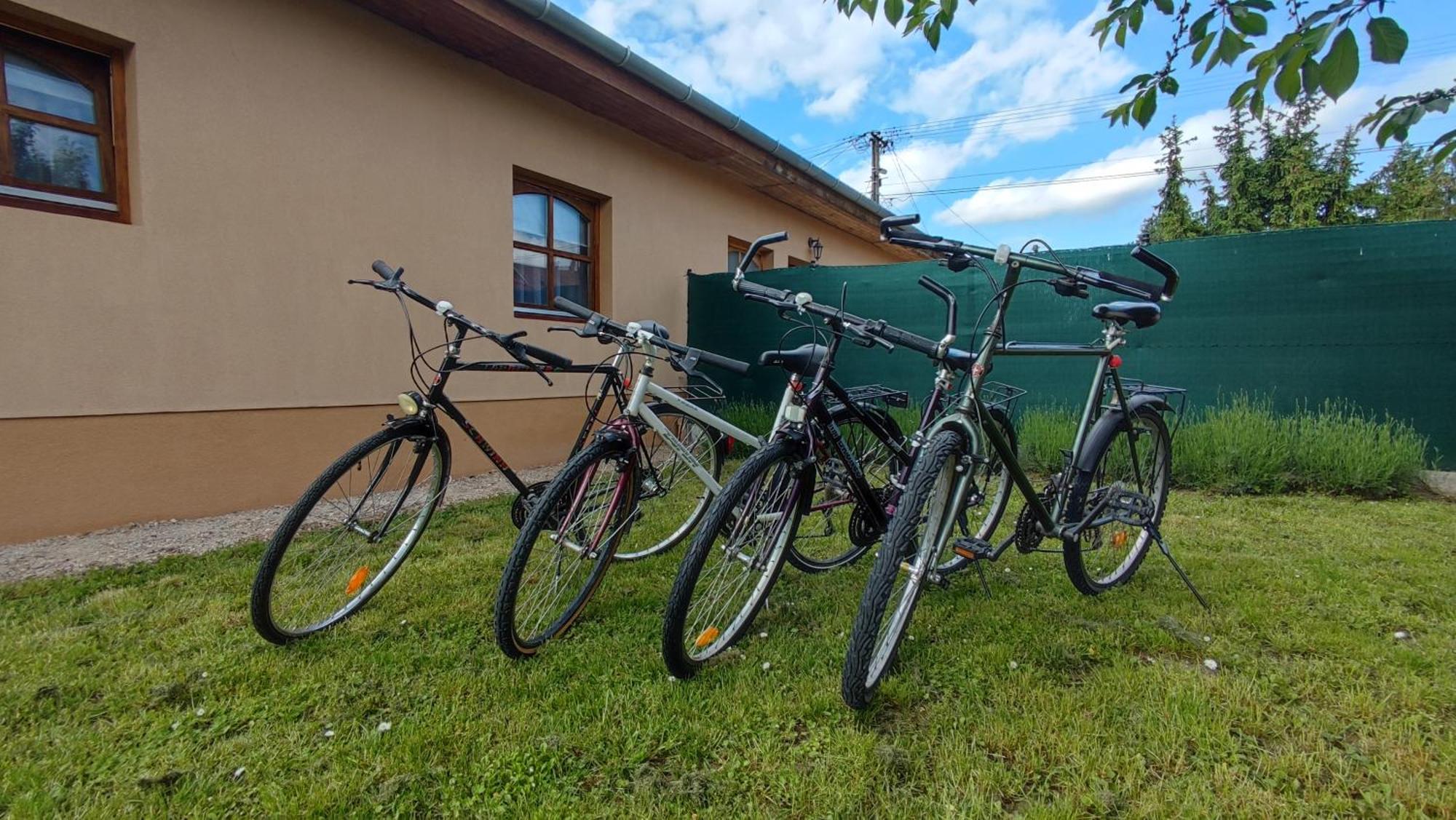 Limonádé Apartman Gárdony Kültér fotó