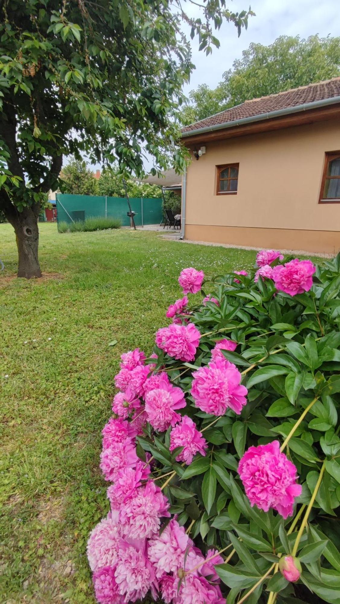 Limonádé Apartman Gárdony Kültér fotó
